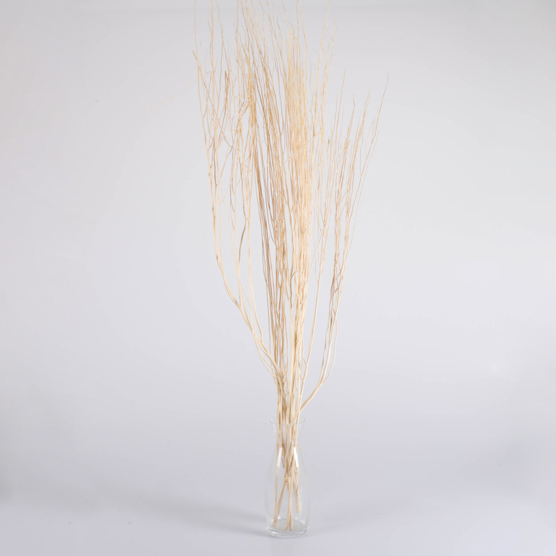 Branchages