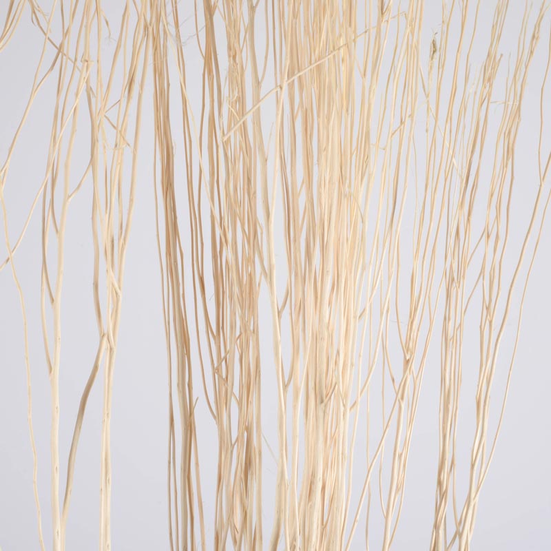 Branchages