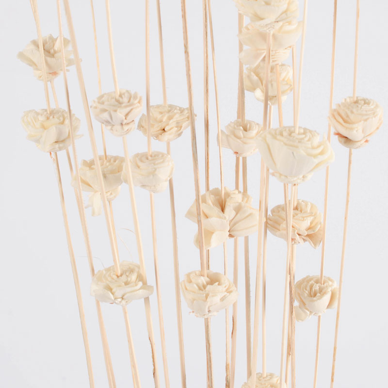 Branches de rosettes