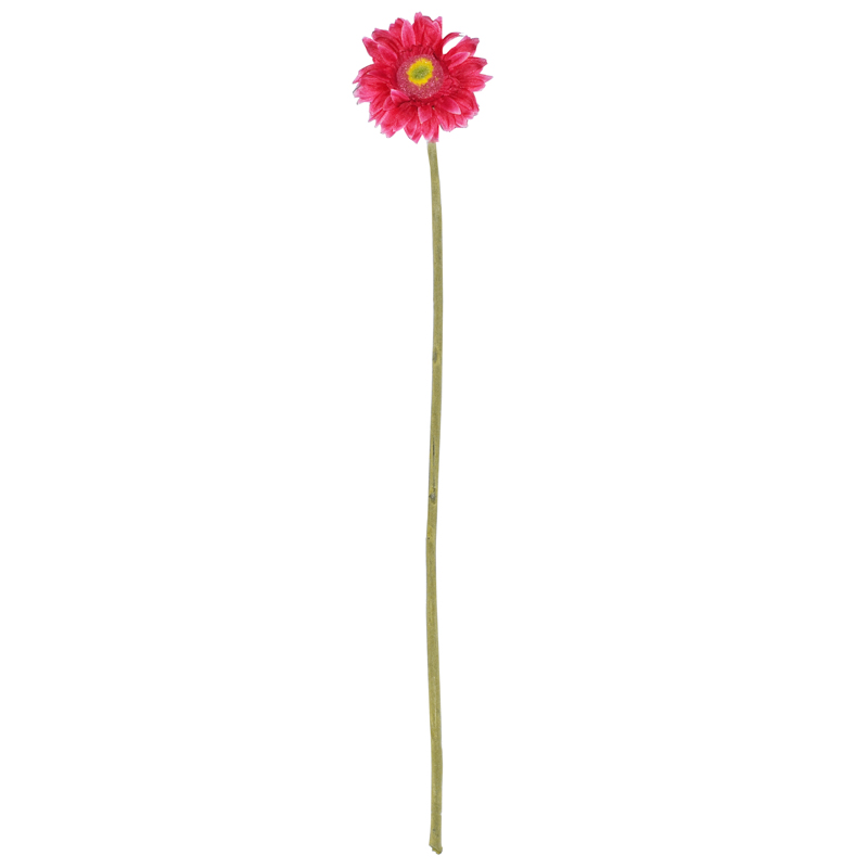 Tige de mini gerbera