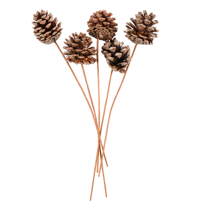 5 tiges 'Pommes de pin'