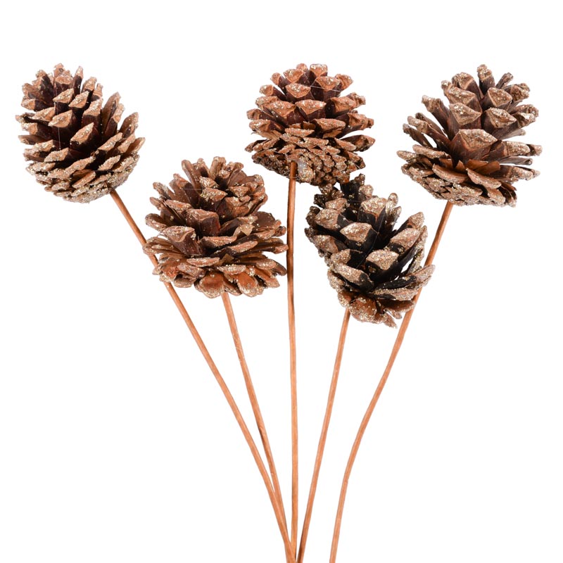 5 tiges 'Pommes de pin'
