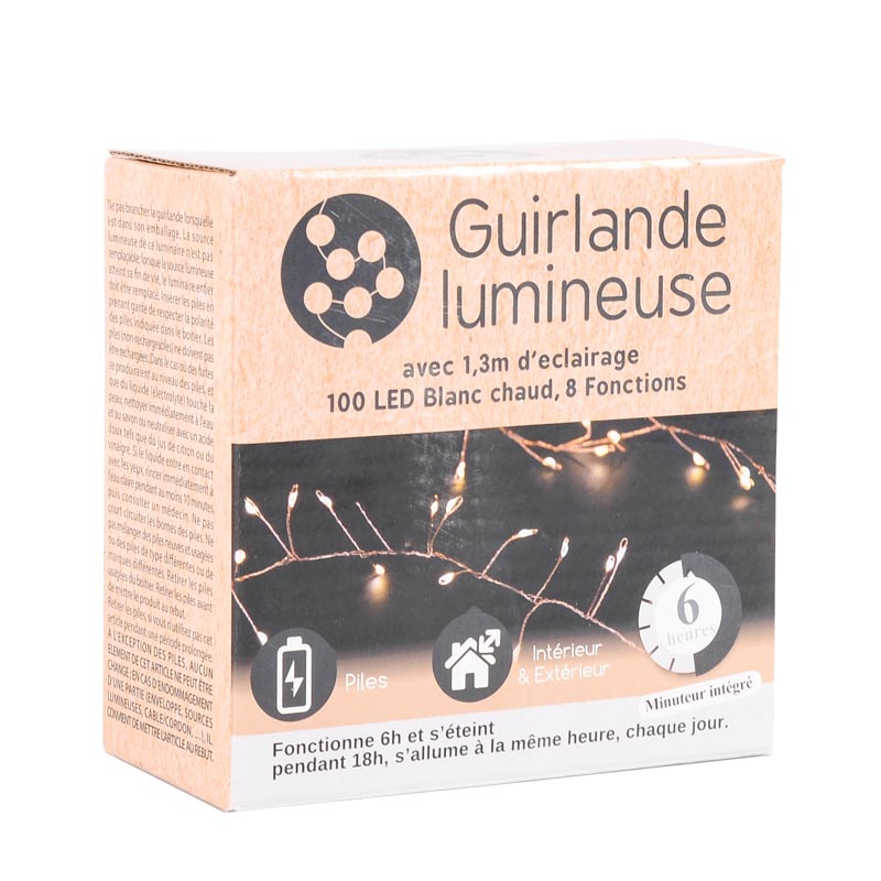 Guirlande électrique 100 LED