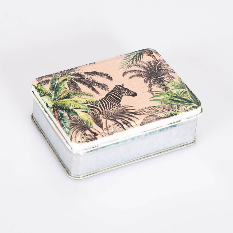 Boîte 'Wild Jungle'