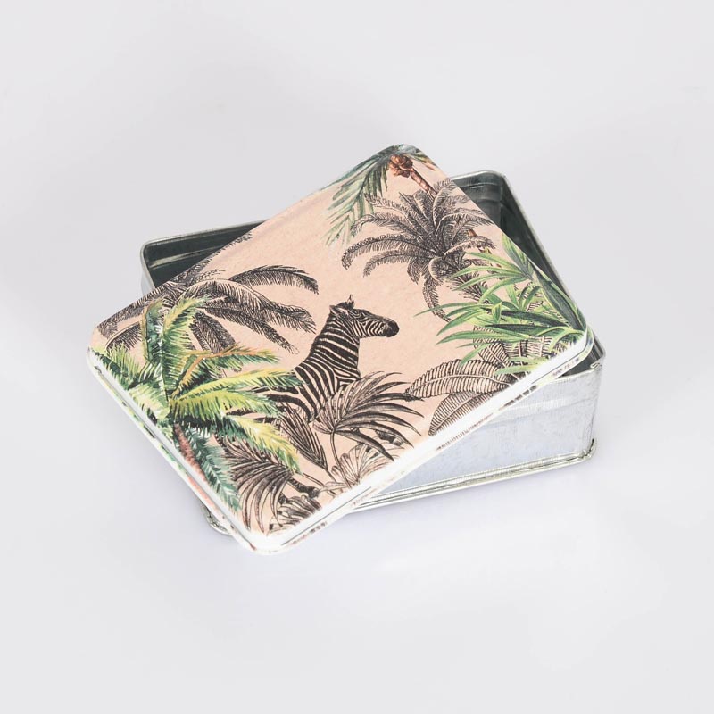Boîte 'Wild Jungle'