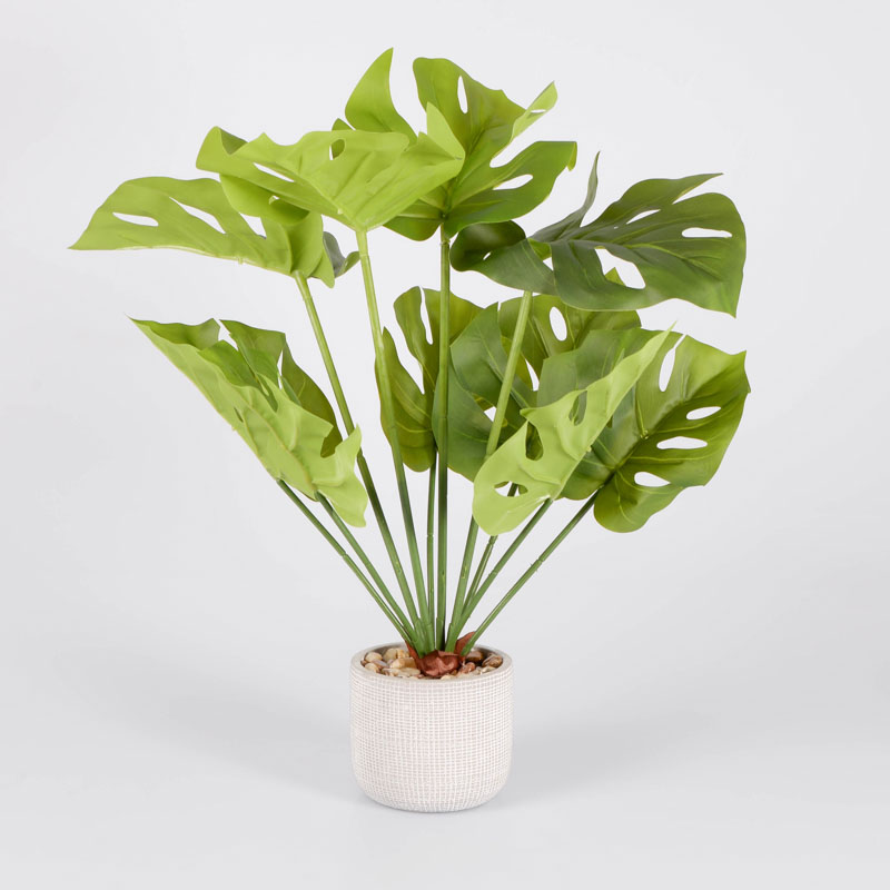 Monsteria artificielle en pot