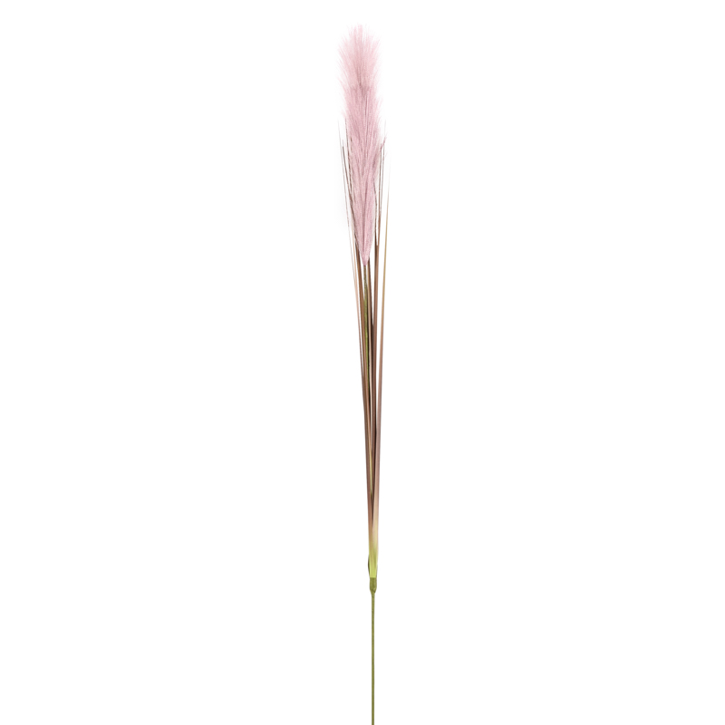 Tige de roseau