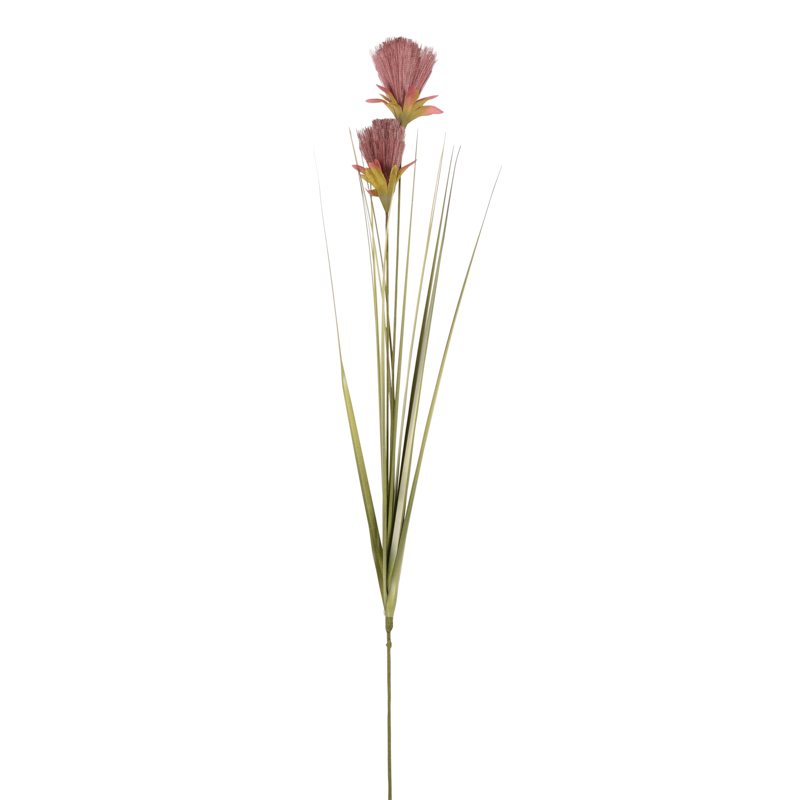 Tige de roseau