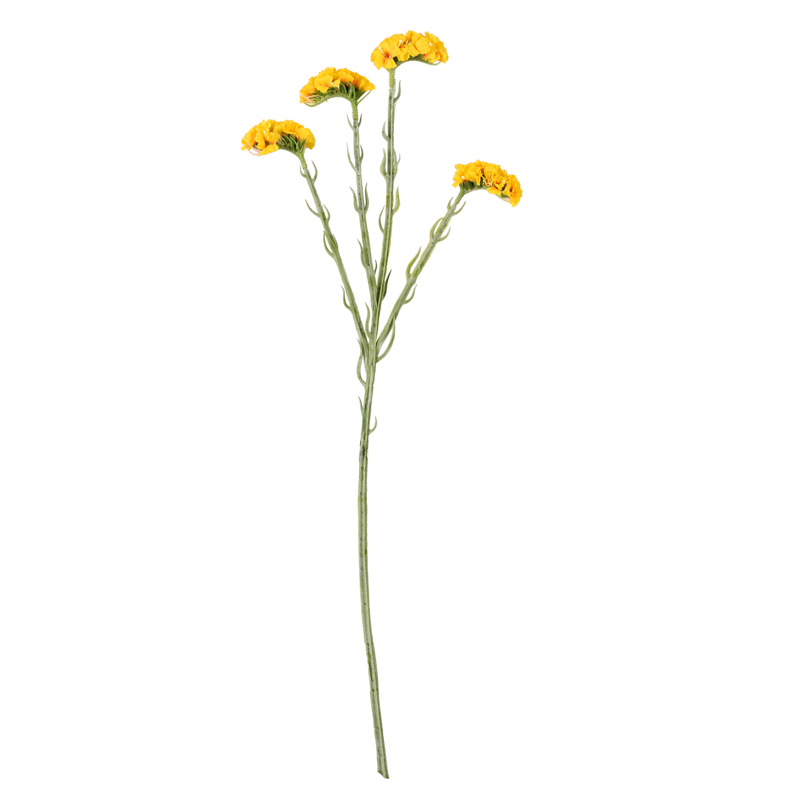 Branche de limonium