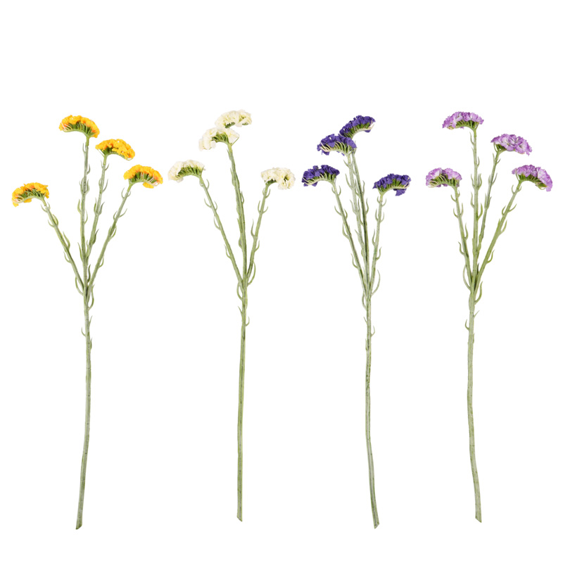 Branche de limonium