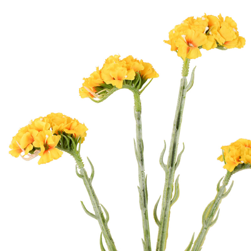 Branche de limonium