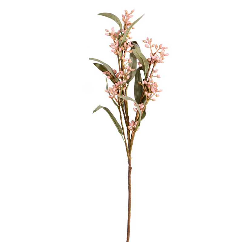 Branche d'eucalyptus 
