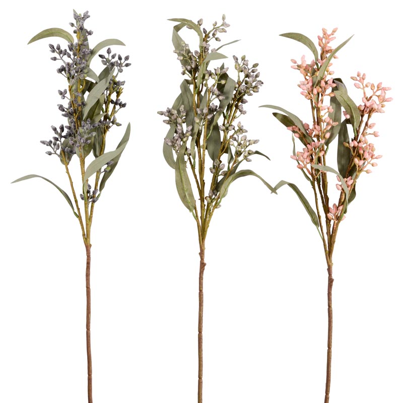 Branche d'eucalyptus 