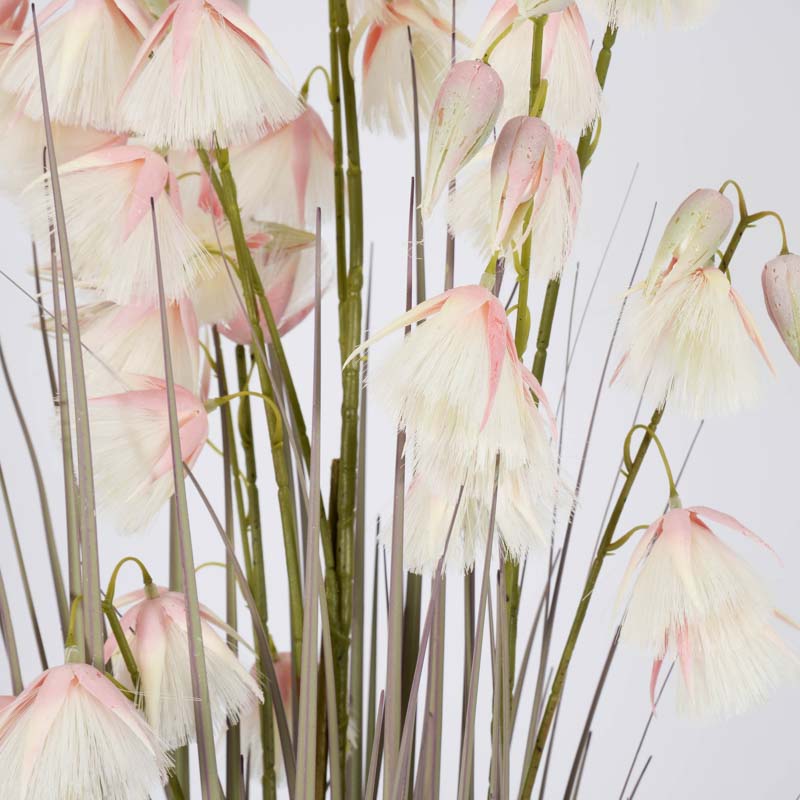 Eriophorum artificielle en pot