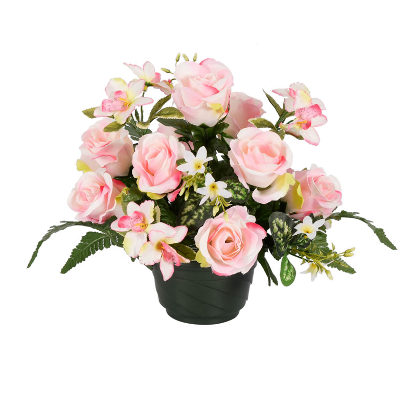 Coupe 'Bollène'