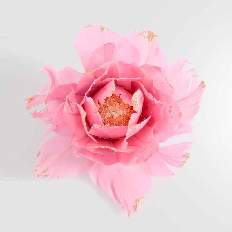 Fleur de Noël