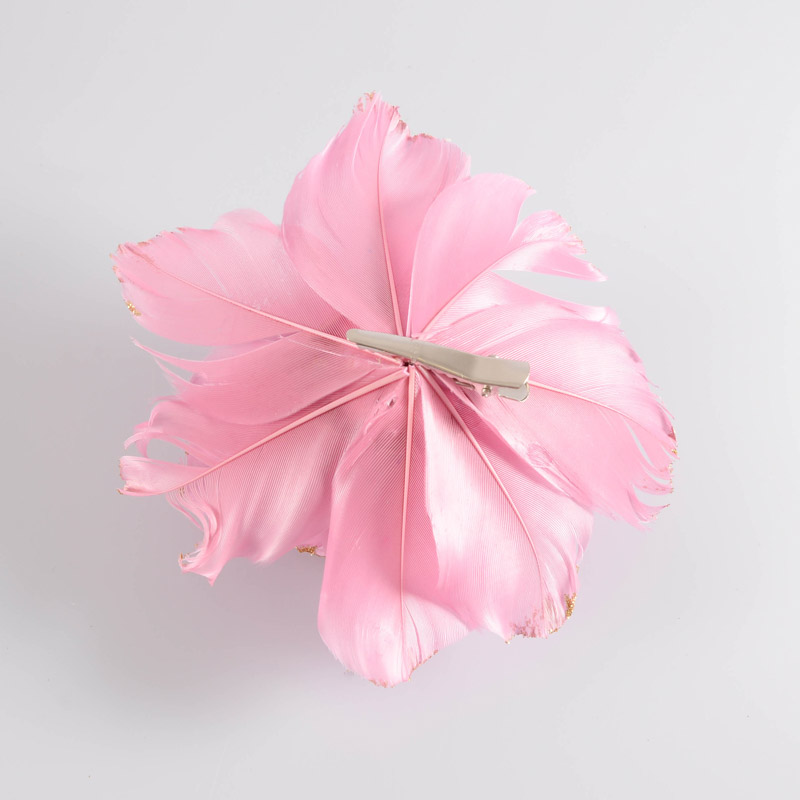 Fleur de Noël