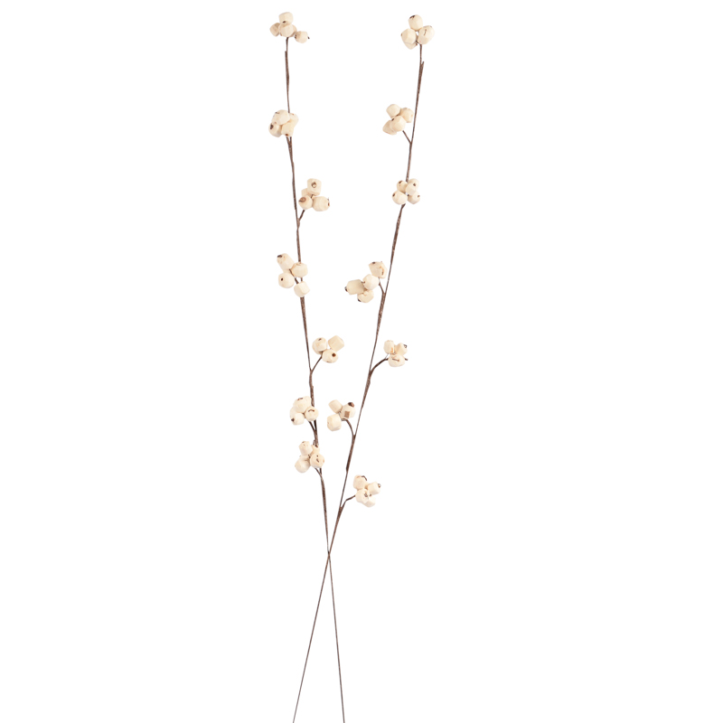 2 branchages de sola