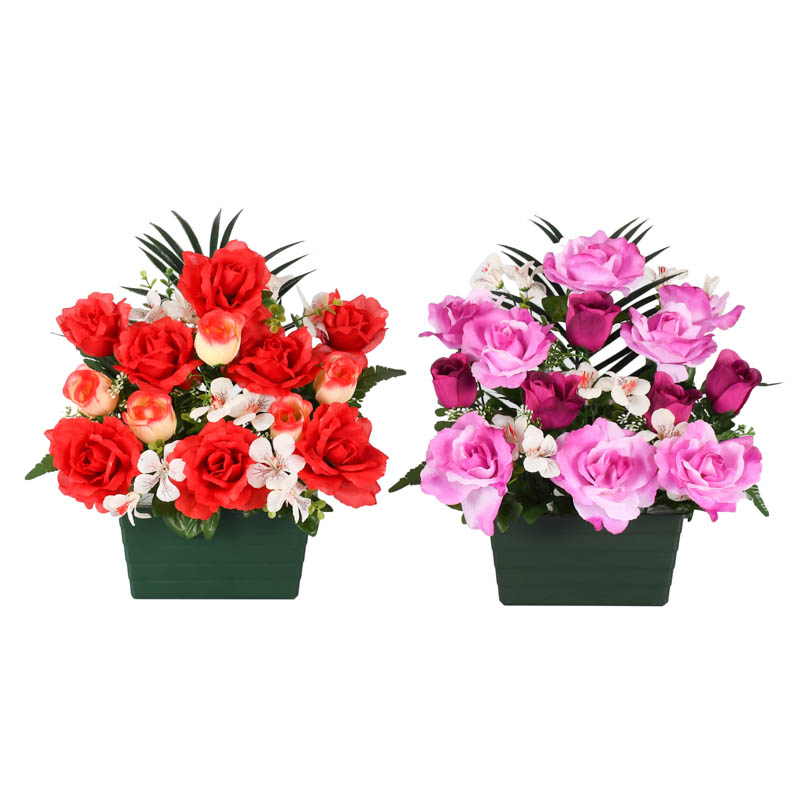 Coupe roses et oeillets des champs