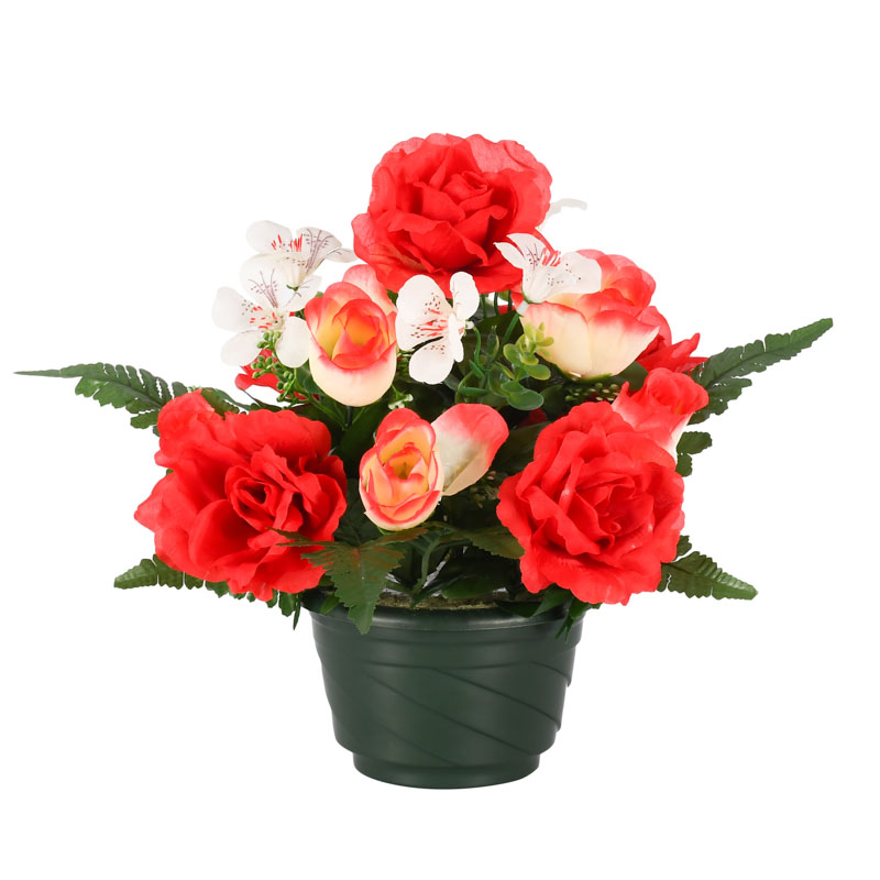 Coupe roses et oeillets des champs