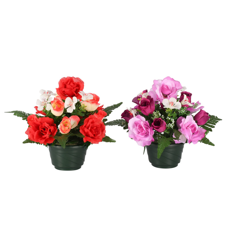 Coupe roses et oeillets des champs