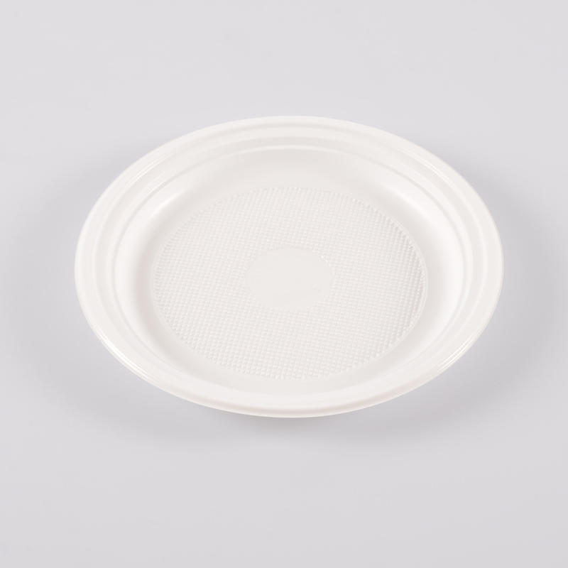 50 assiettes réutilisables