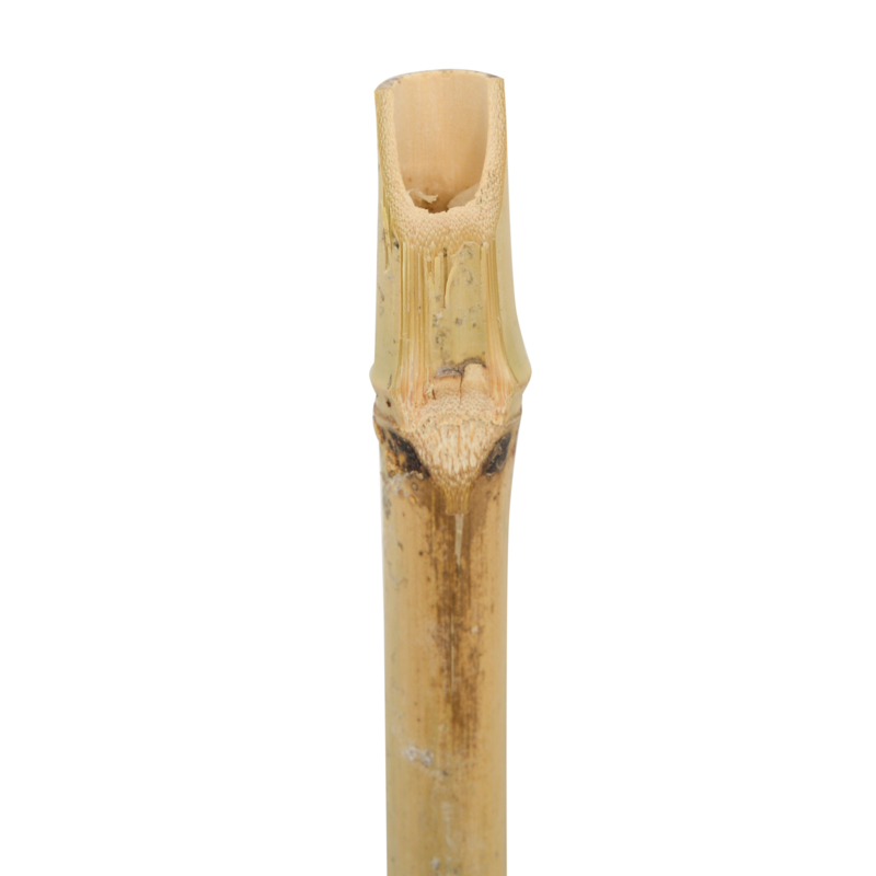 Torche avec bougie 