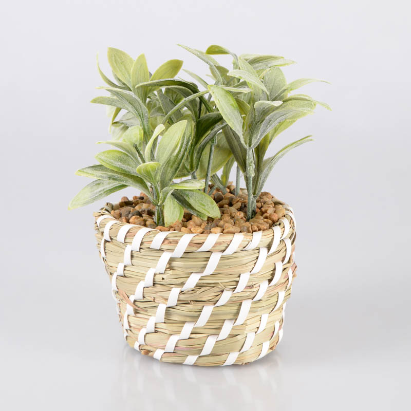 Succulente artificielle avec pot