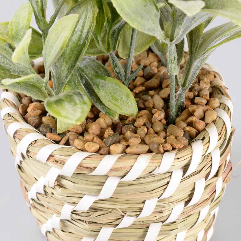 Succulente artificielle avec pot