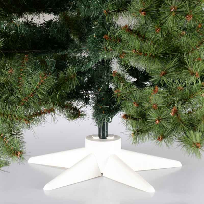 Pied de sapin