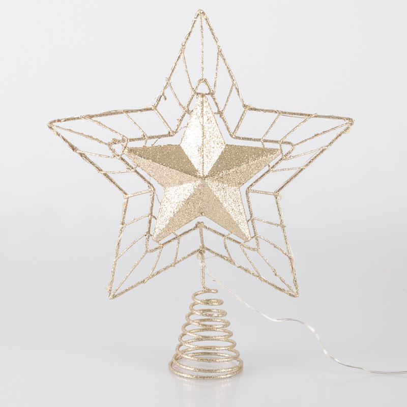 Etoile lumineuse 'Cimier'