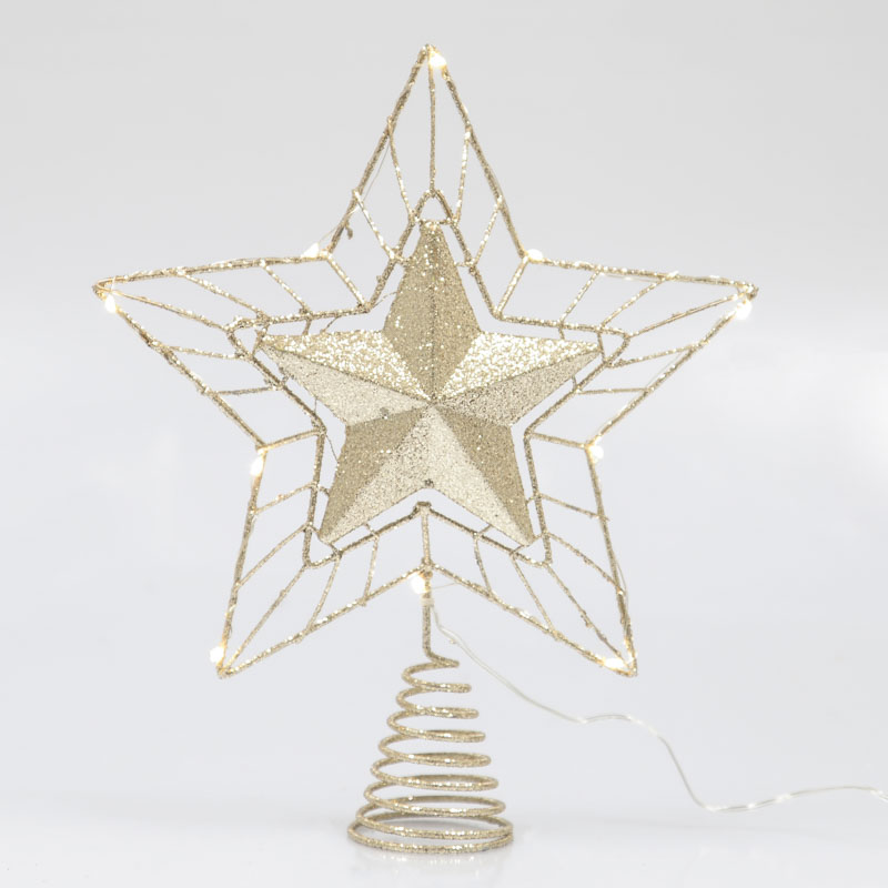 Etoile lumineuse 'Cimier'