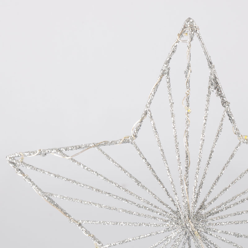 Etoile lumineuse 'Cimier'