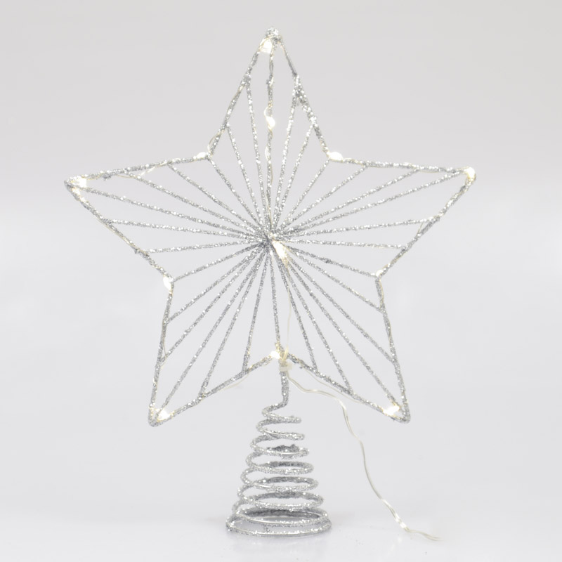Etoile lumineuse 'Cimier'