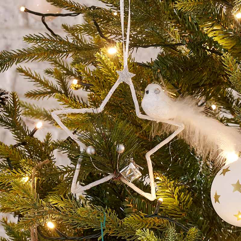 Oiseau sur étoile 'Forêt Enchantée'