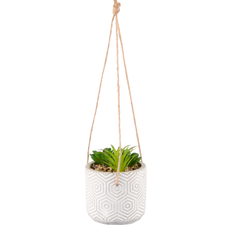 Succulente dans pot à suspendre