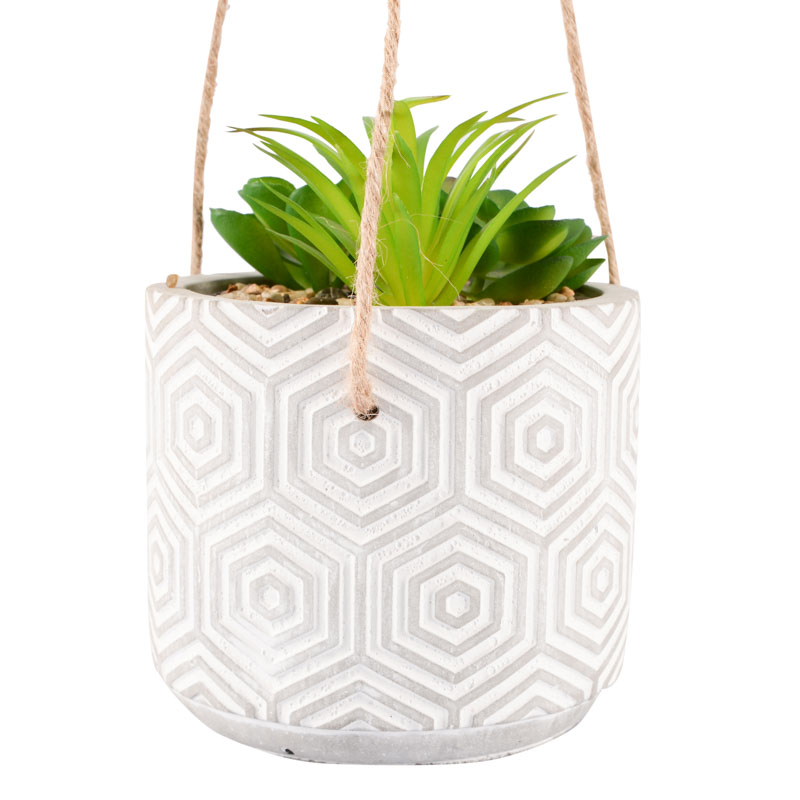 Succulente dans pot à suspendre