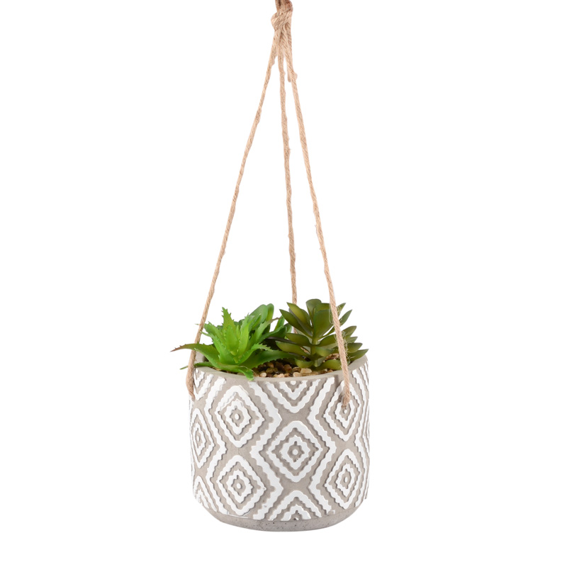 Succulente dans pot à suspendre
