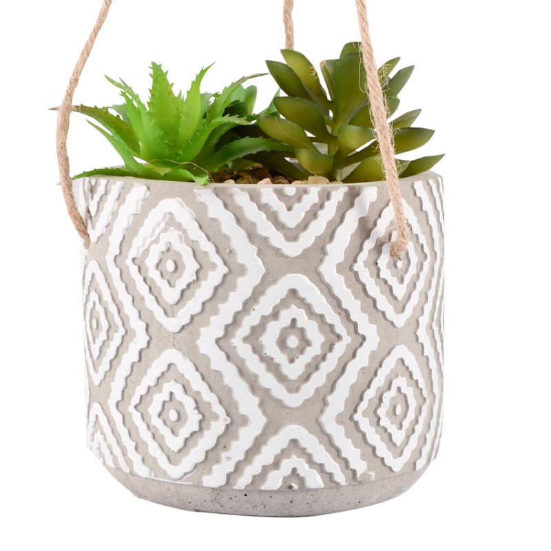 Succulente dans pot à suspendre