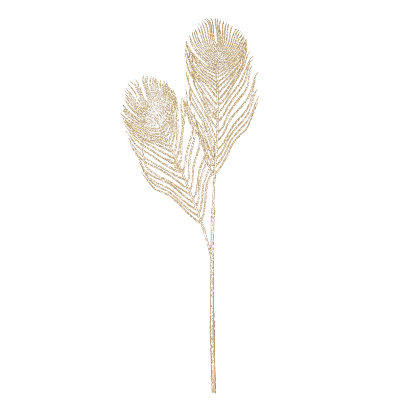 Plumes de paon 'Mille éclats'