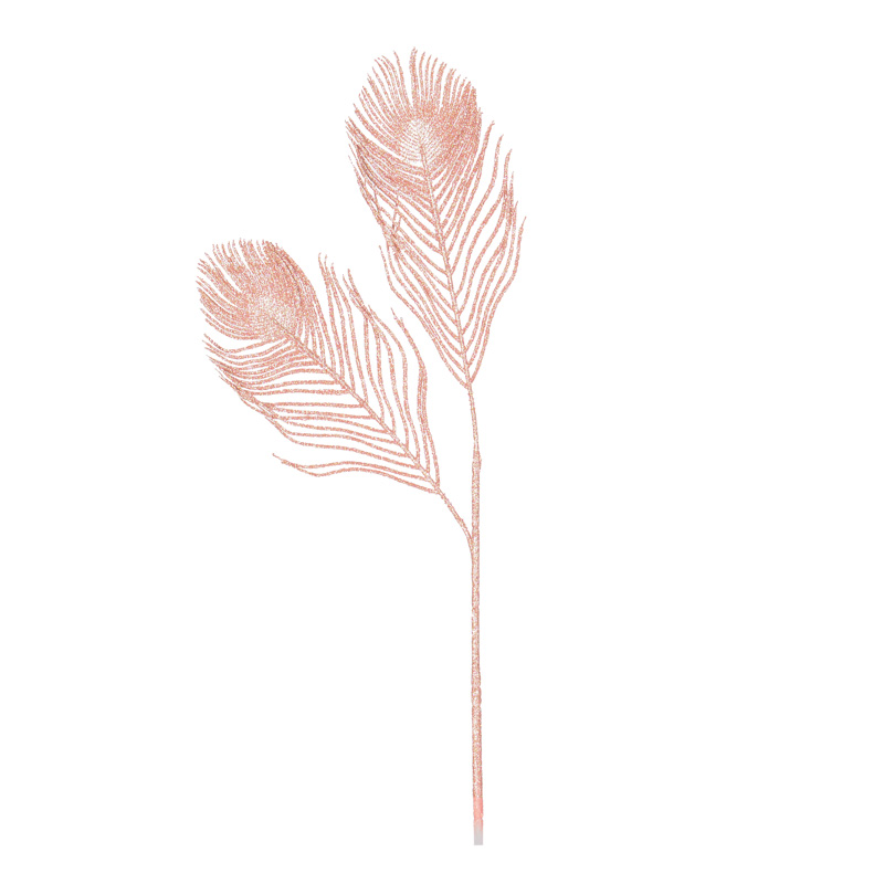 Plumes de paon 'Mille éclats'