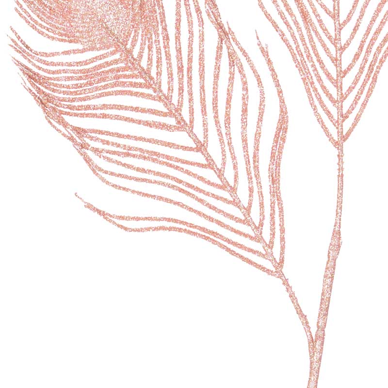 Plumes de paon 'Mille éclats'