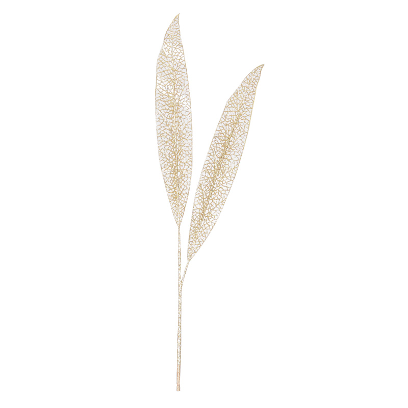 Feuilles épée 'Mille éclats'