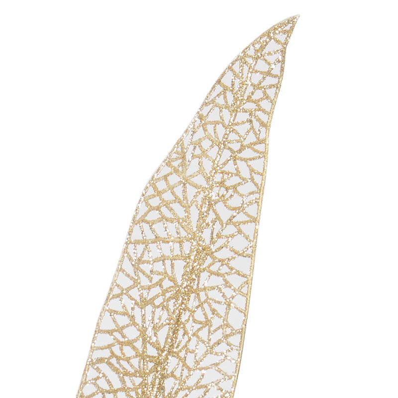 Feuilles épée 'Mille éclats'