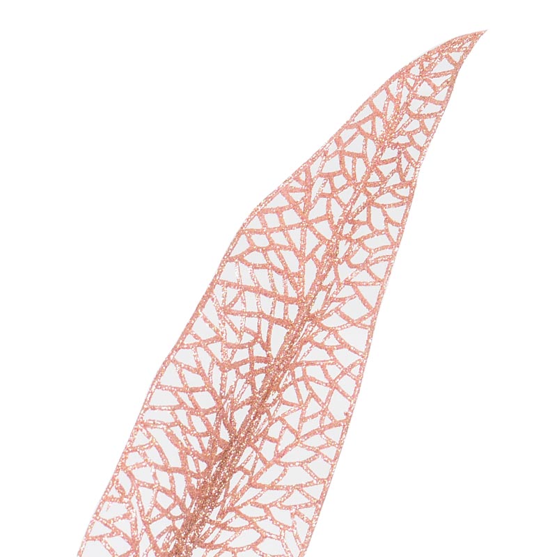 Feuilles épée 'Mille éclats'