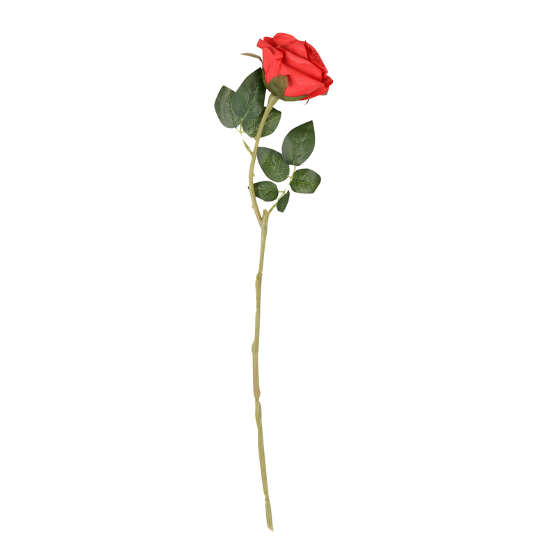 Tige de rose rouge