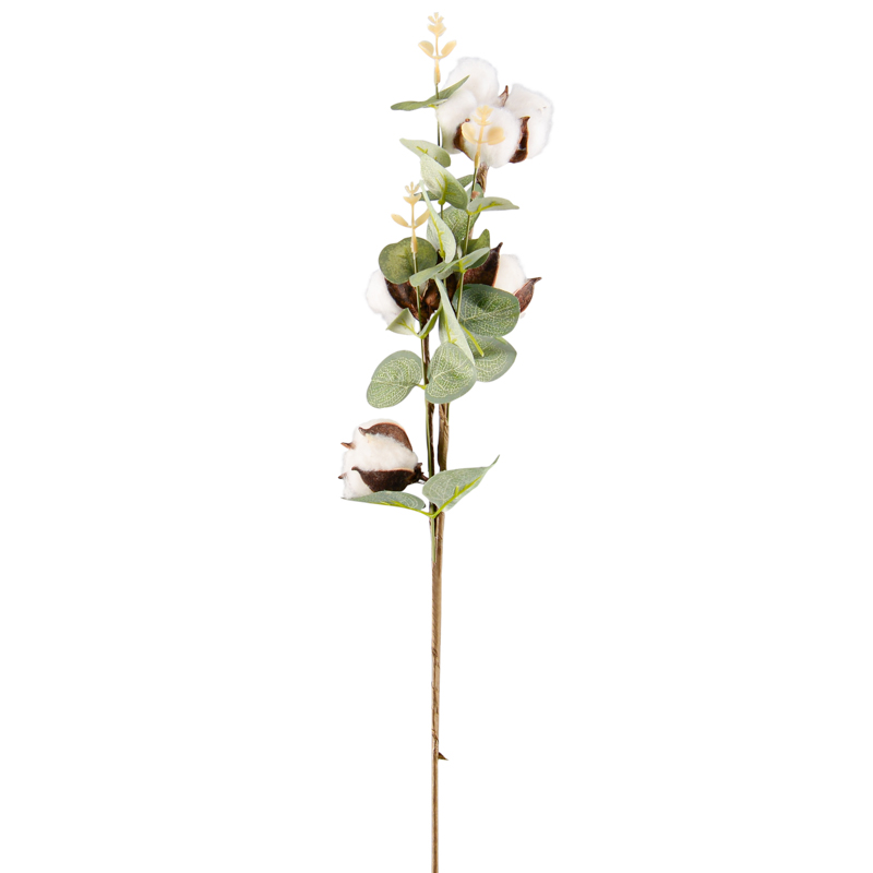 Tige de fleurs de coton et d'eucalyptus - L'Incroyable