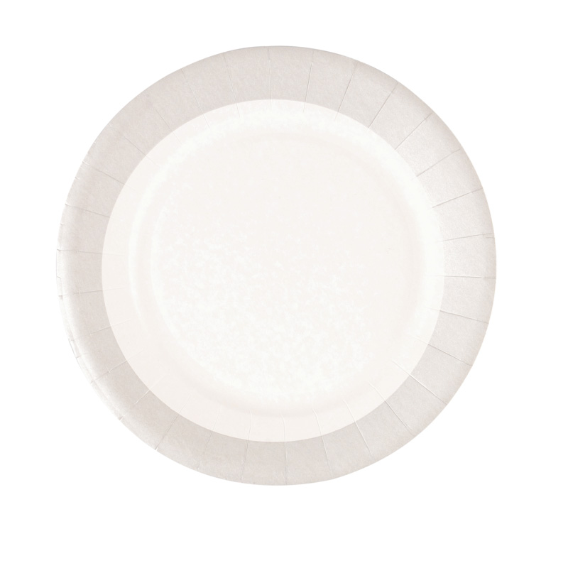 10 assiettes en carton 