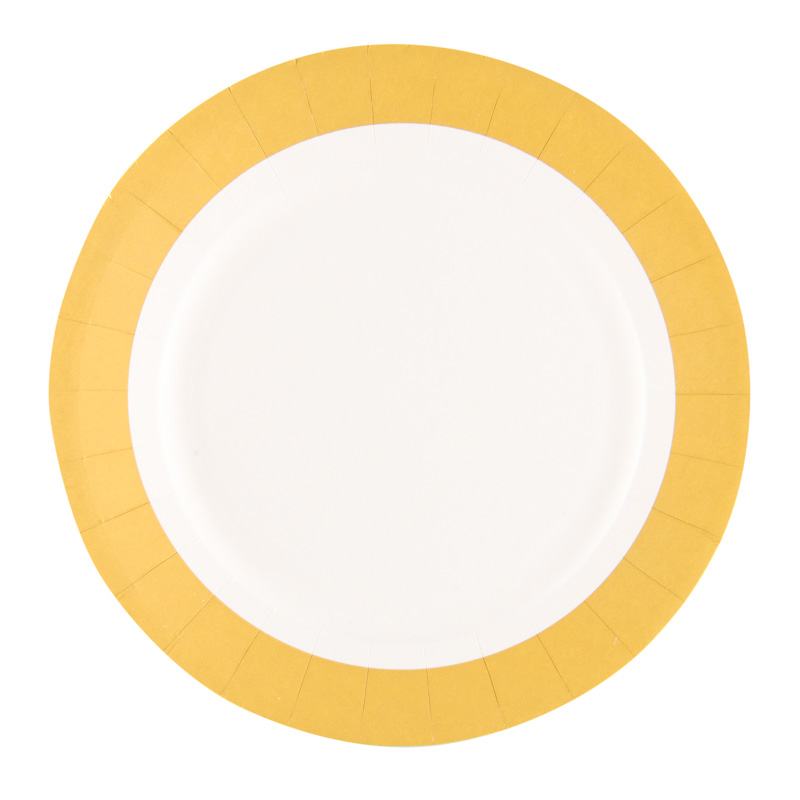 10 assiettes en carton 
