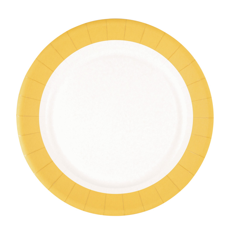 10 assiettes en carton 